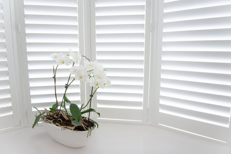 Louvered Shutters Installation in Longmont, CO