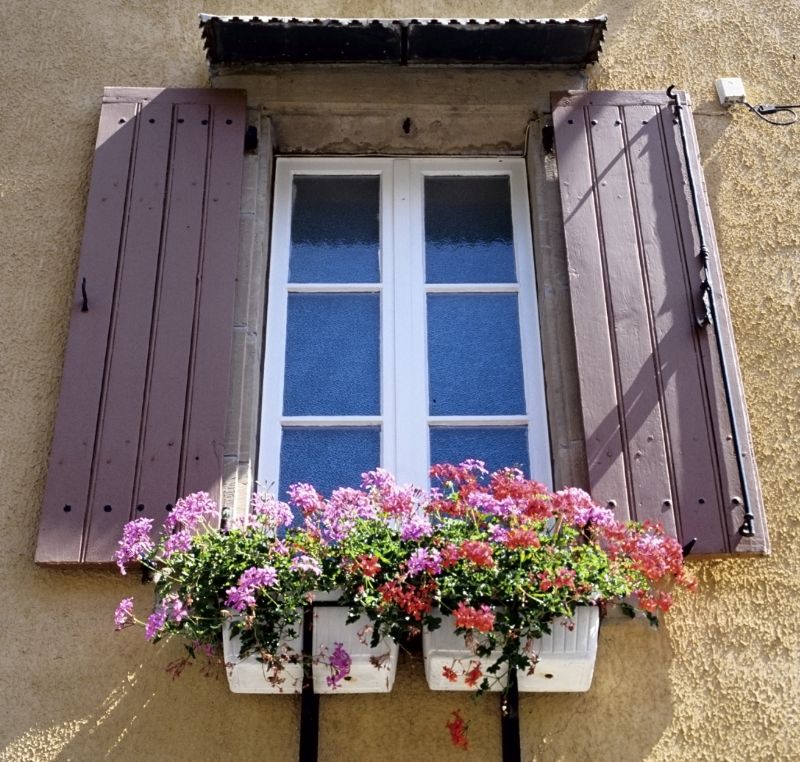 Shutter Size and Style